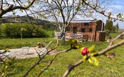 Chalet 1 Chambre