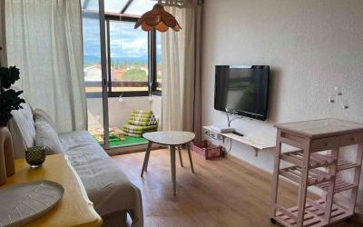 Appartement 1 Chambre