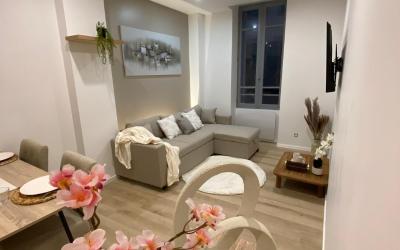 Appartement 1 Chambre