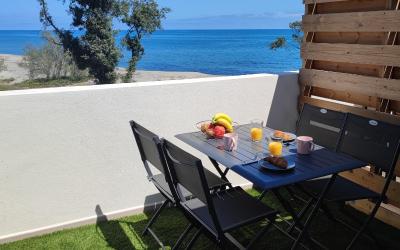 Appartement 1 Chambre