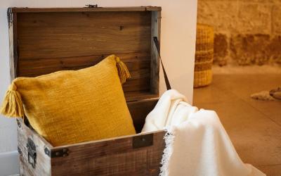 Camera King Standard