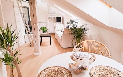 Appartement 1 Chambre