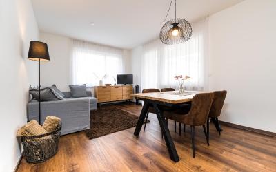 Appartamento con 1 Camera da Letto