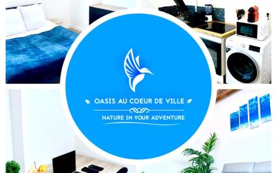 Appartement 1 Chambre