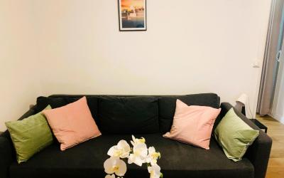 Appartement 1 Chambre Appartement 1 Chambre