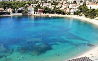 Appartement 1 Chambre Appartement 1 Chambre