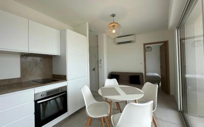 Appartement 1 Chambre