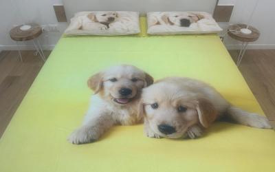 Camera Matrimoniale con Bagno Privato