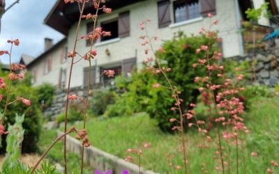 Chalet 3u00a0Chambres Chalet 3u00a0Chambres