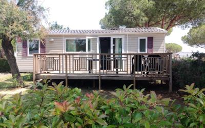 Mobile Home