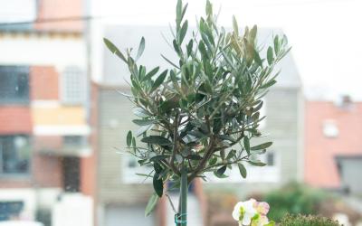 Chambre Double avec Salle de Bains Privative Chambre Double avec Salle de Bains Privative