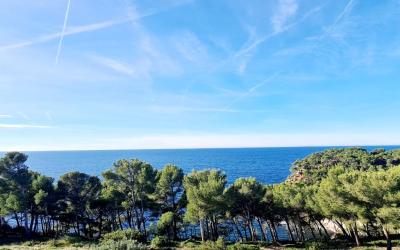 Studio - Vue sur Mer