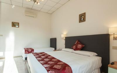 Camera Quadrupla Standard 