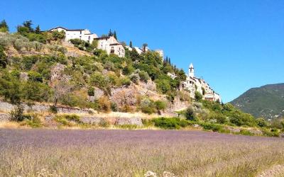 Maison 1 Chambre Maison 1 Chambre