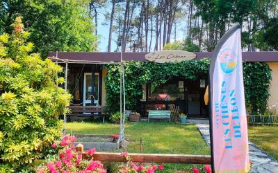Bungalow avec Terrasse