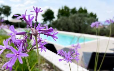 Appartamento con Vista Lago