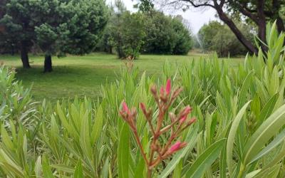 Maison 3u00a0Chambres