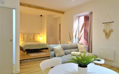 Appartement 1 Chambre