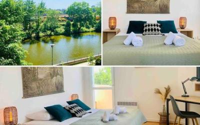 Appartement 1 Chambre Appartement 1 Chambre