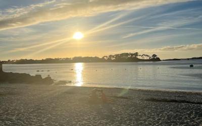 Appartement 1 Chambre Appartement 1 Chambre