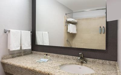 One-Bedroom King Suite with Sofa Bed