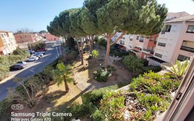 Appartement 1 Chambre