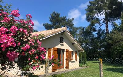 Villa Villa