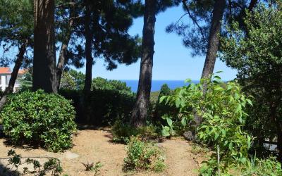 Appartement (4 Adultes) Appartement (4 Adultes)