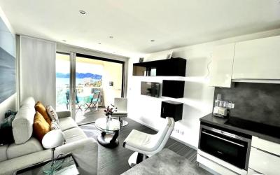 Appartement 1 Chambre