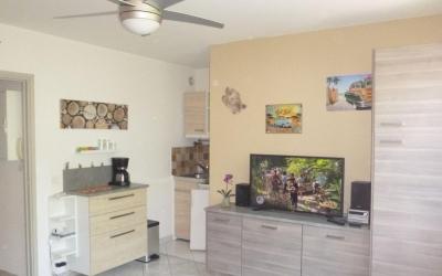 Appartement 1 Chambre