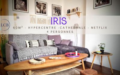 Appartement 1 Chambre Appartement 1 Chambre