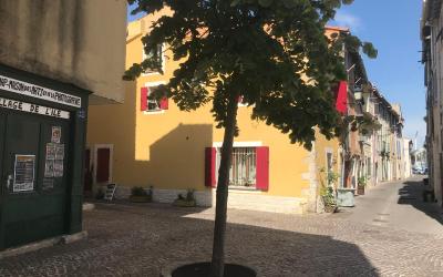 Appartement 1 Chambre Appartement 1 Chambre