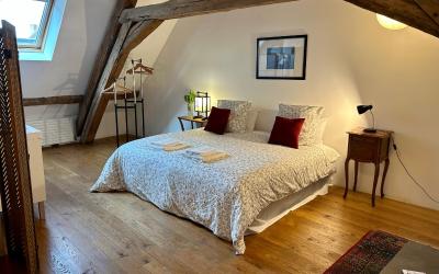 Suite Deluxe avec Lit King-Size