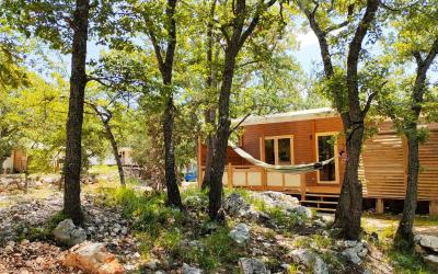 Mobile Home