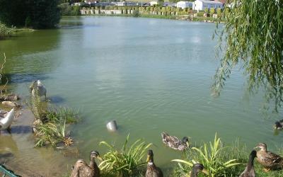 Bungalow (6 Adultes) Bungalow (6 Adultes)