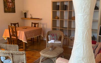 Appartement 1 Chambre