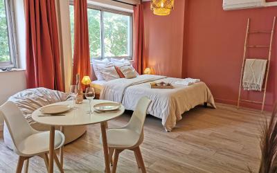 Appartement 1 Chambre