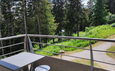 Appartement 1 Chambre