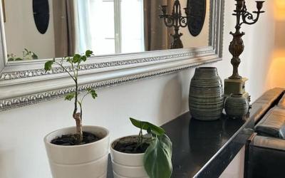 Appartement 2 Chambres