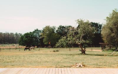 Chambre Double avec Terrasse