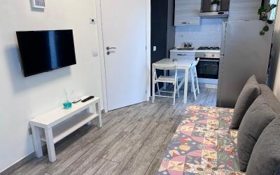 Appartamento con 1 Camera da Letto