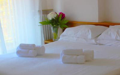 Camera Matrimoniale/Doppia con Letti Singoli con Terrazza