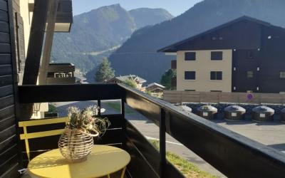 Appartement 1 Chambre