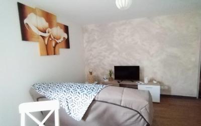Appartement 1 Chambre