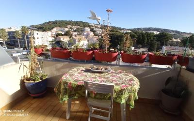 Appartement 1 Chambre