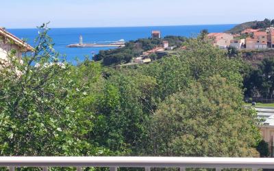 Appartement 1 Chambre