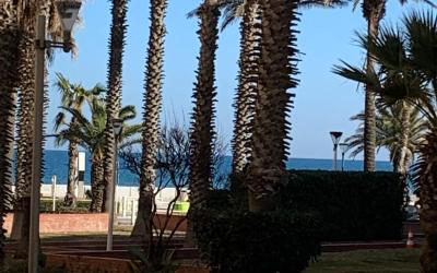 Appartement 2 Chambres