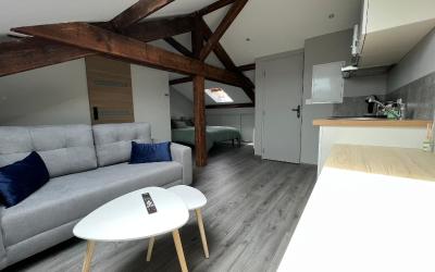 Appartement 1 Chambre