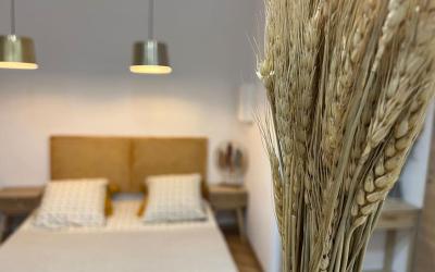 Appartement 1 Chambre