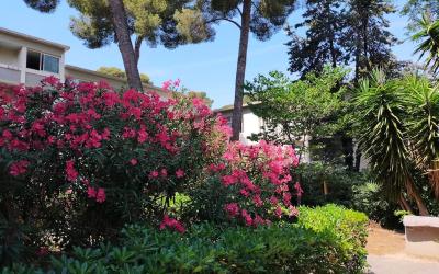 Appartement 1 Chambre Appartement 1 Chambre